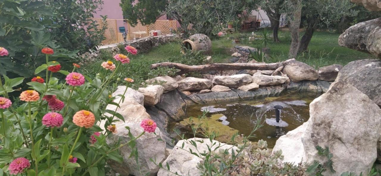 Albero Della Musica Bed & Breakfast ซัสซารี ภายนอก รูปภาพ