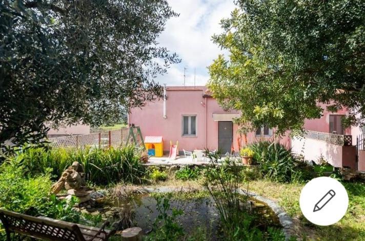 Albero Della Musica Bed & Breakfast ซัสซารี ภายนอก รูปภาพ